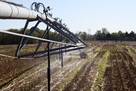 Irrigation pivot on Travis Gilkey's farm in Princeton, Kentucky. Photo by Ole Wendroth. 